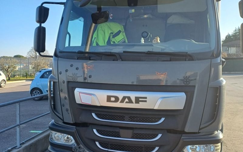 Daf LF 290 16T - VEICOLI INDUSTRIALI PIVA S.R.L.